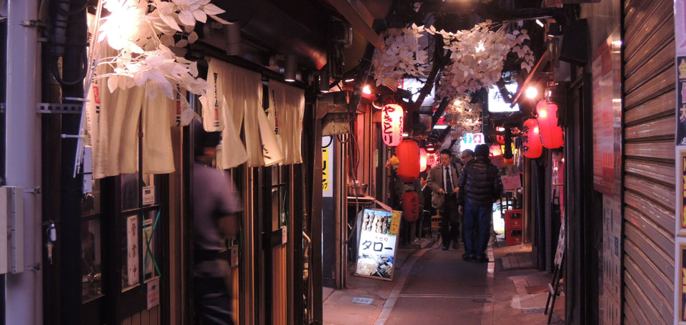 luxury ski holiday japan