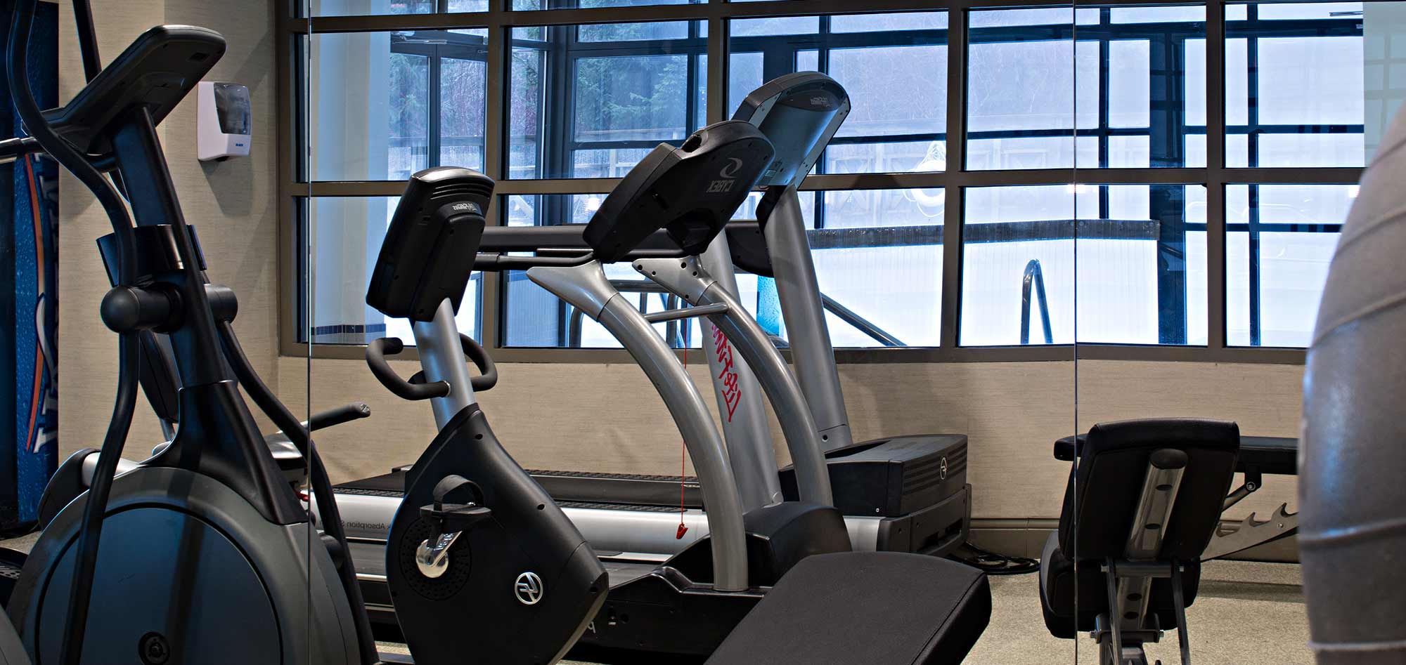 delta_suites_hotel_whistler_canada_luxury_ski_holiday_fitness_room.jpg