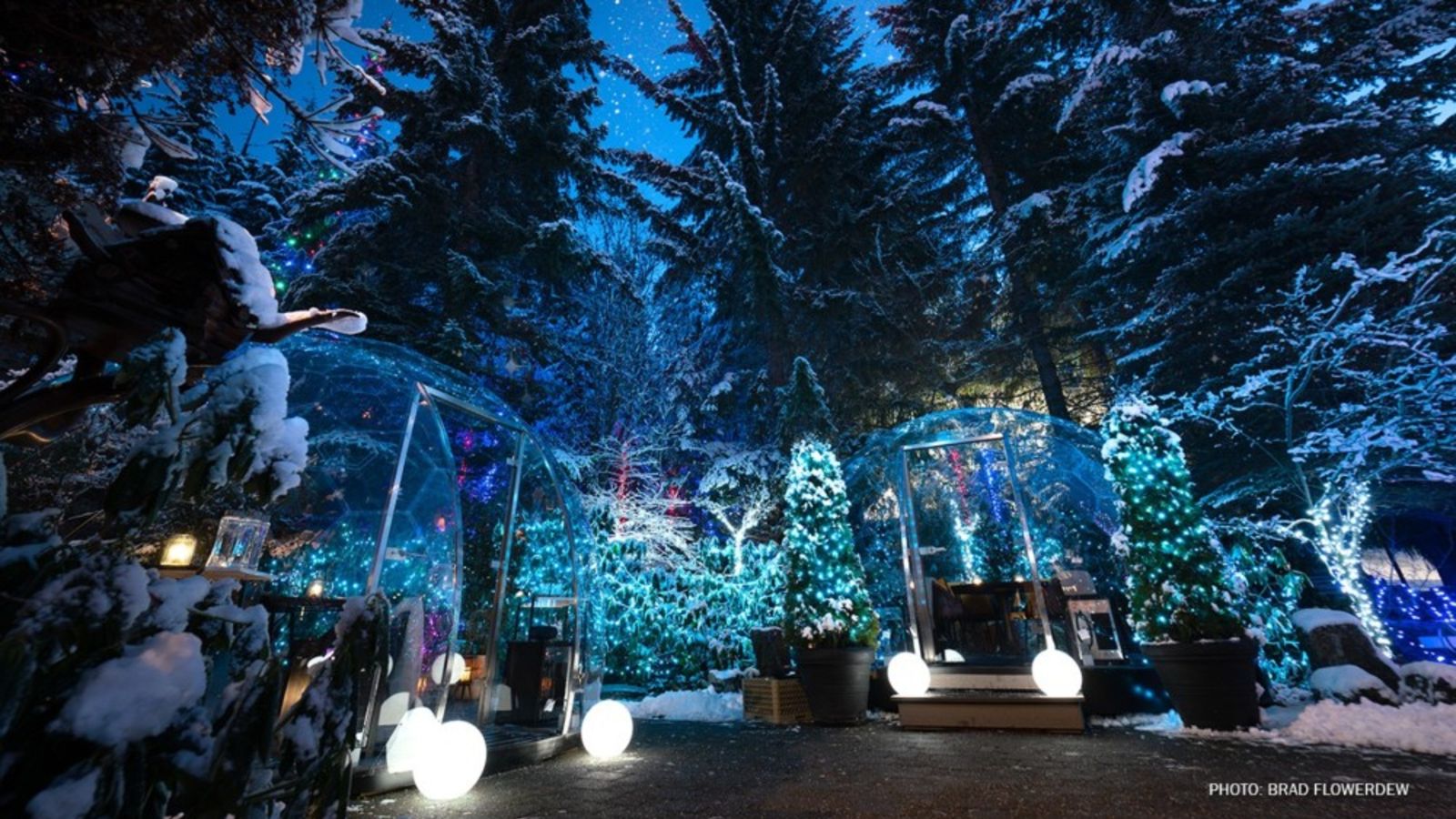 HERO-Snow-Globes-Dining-Domes (1).jpg