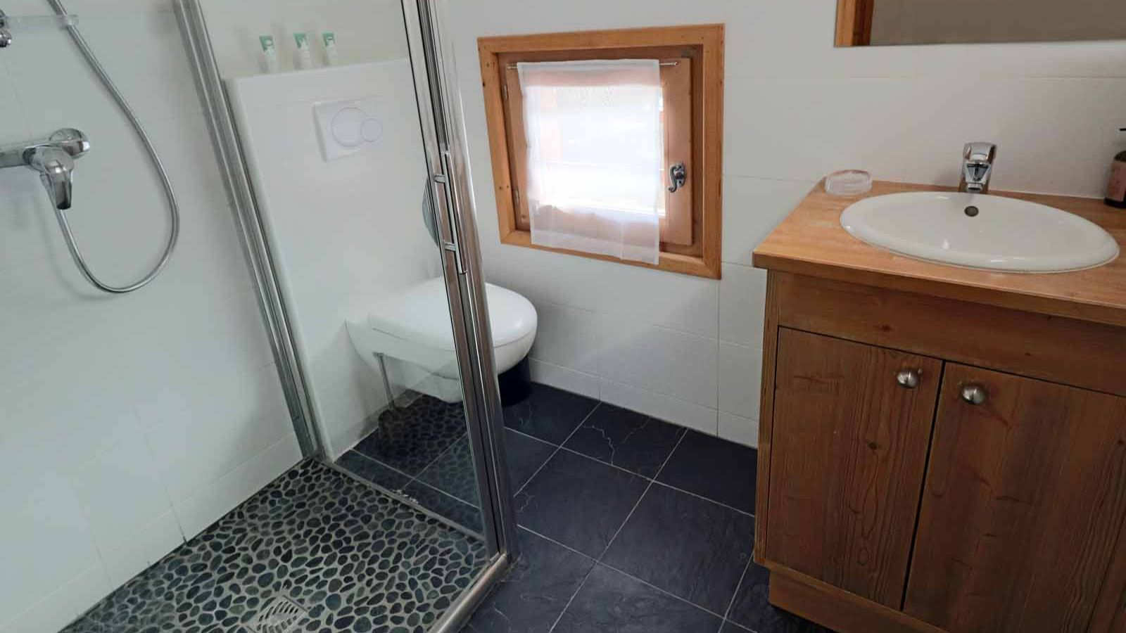 luxury-ski-chalet-la-tania-panda-oxford-ski-bathroom (1).jpg