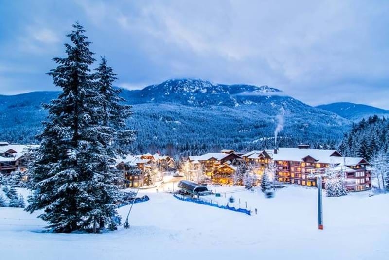Whistler Ski Resort with town in background and snow covered tree in foreground.
