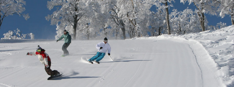 Three people skiing down fresh slope in Nozawa Onsen, Japan
