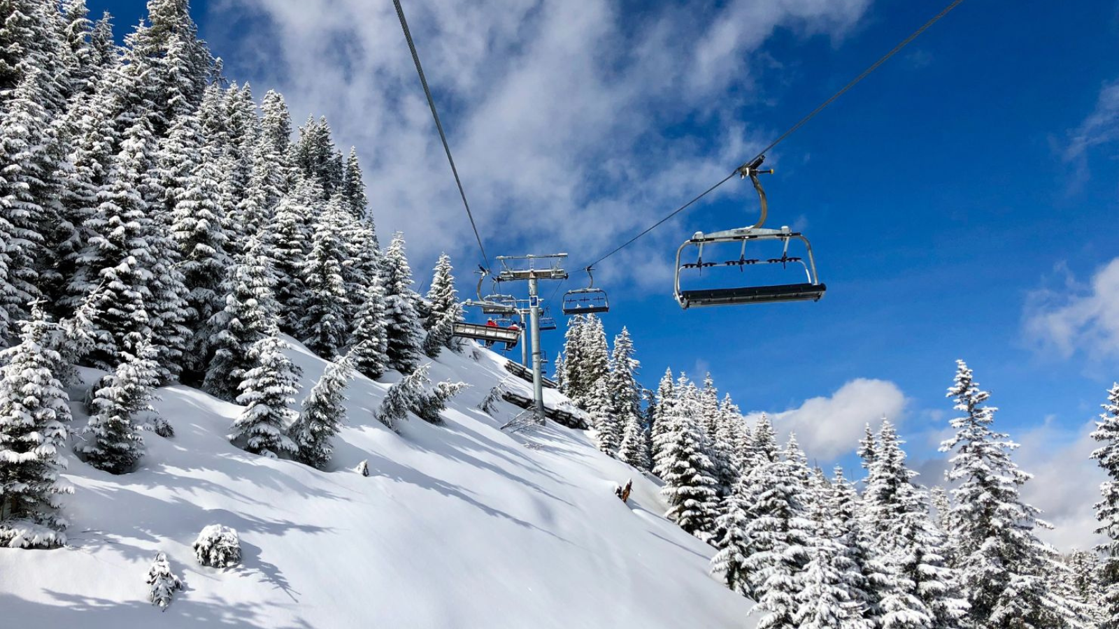 Five Reasons to Go Spring Skiing