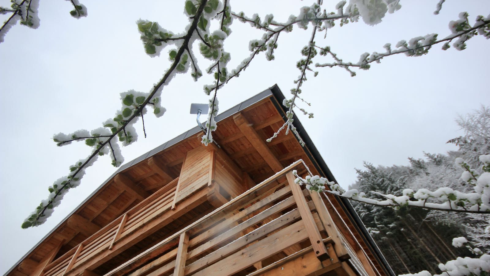 Chalet Meuniers_ Exterior.jpeg