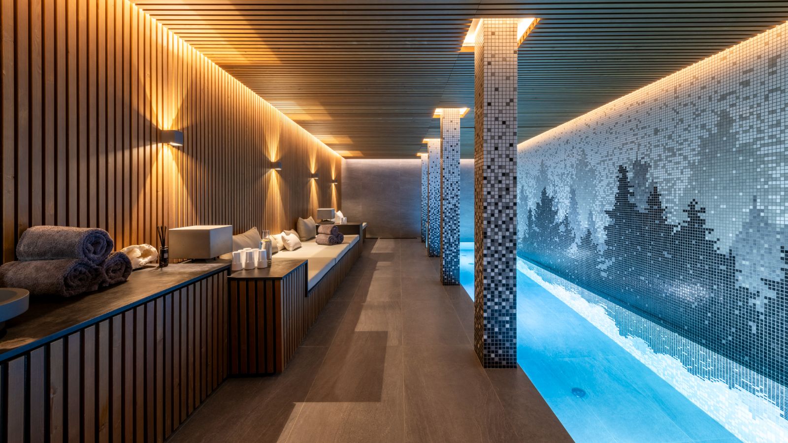 LuxurySki-Chalet-Courchevel-Chalet-Ascension-Oxford-Ski-Pool3.jpg