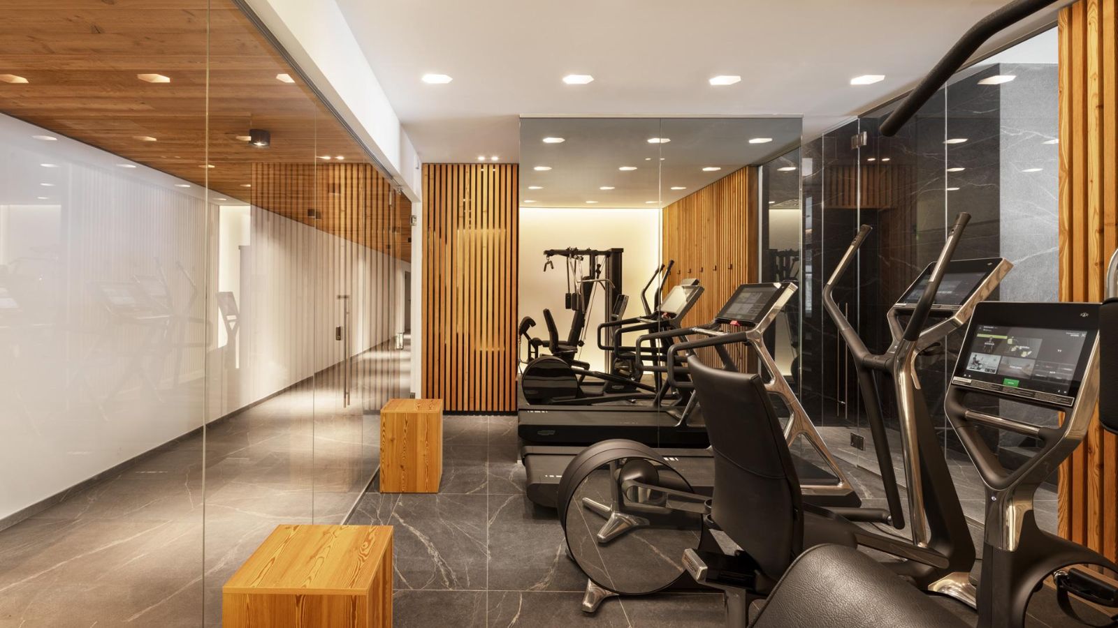 Luxury-Ski-Apartment-Madonna-di-Campiglio-Apartment-Nardis-oxford-ski-gym.jpg