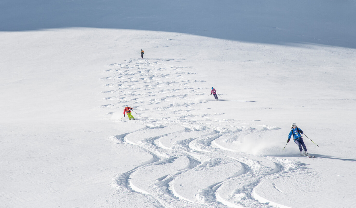 Skiiers carving tracks in the snow