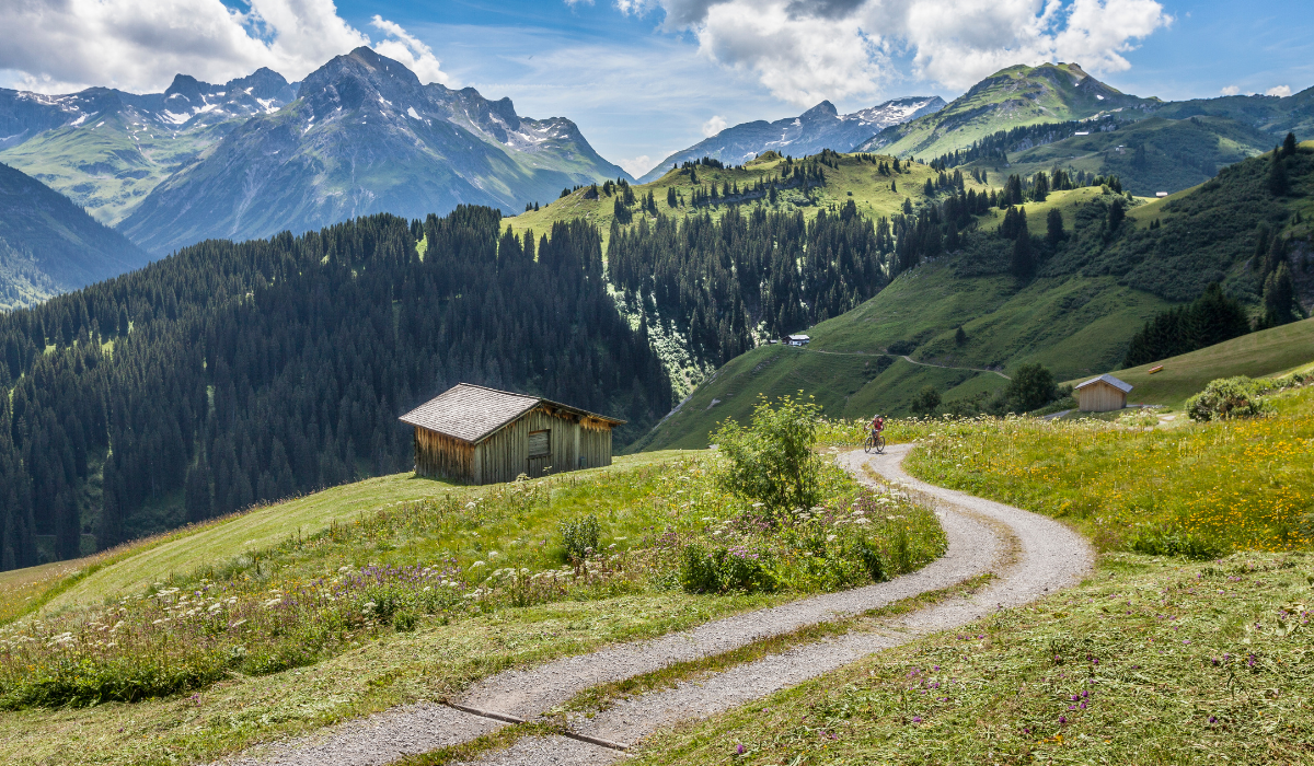 Trail through a meadow in the mountains of austria