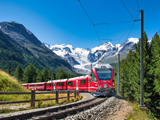 A Journey Through the Alps in Summer