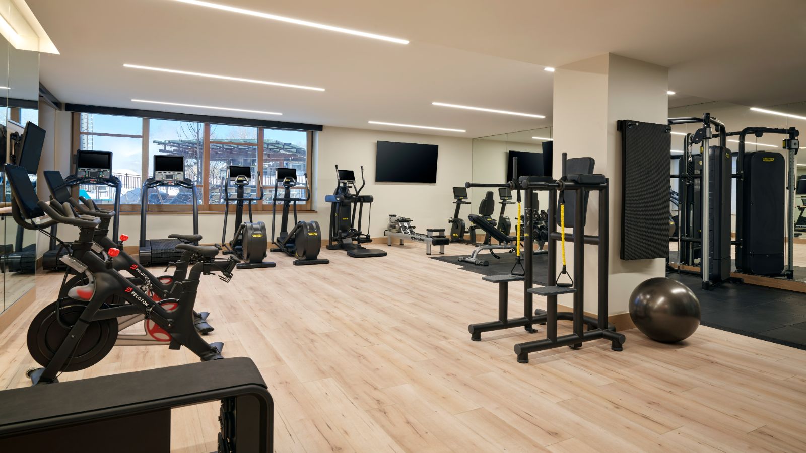 Viceroy Fitness at Cirque.jpg