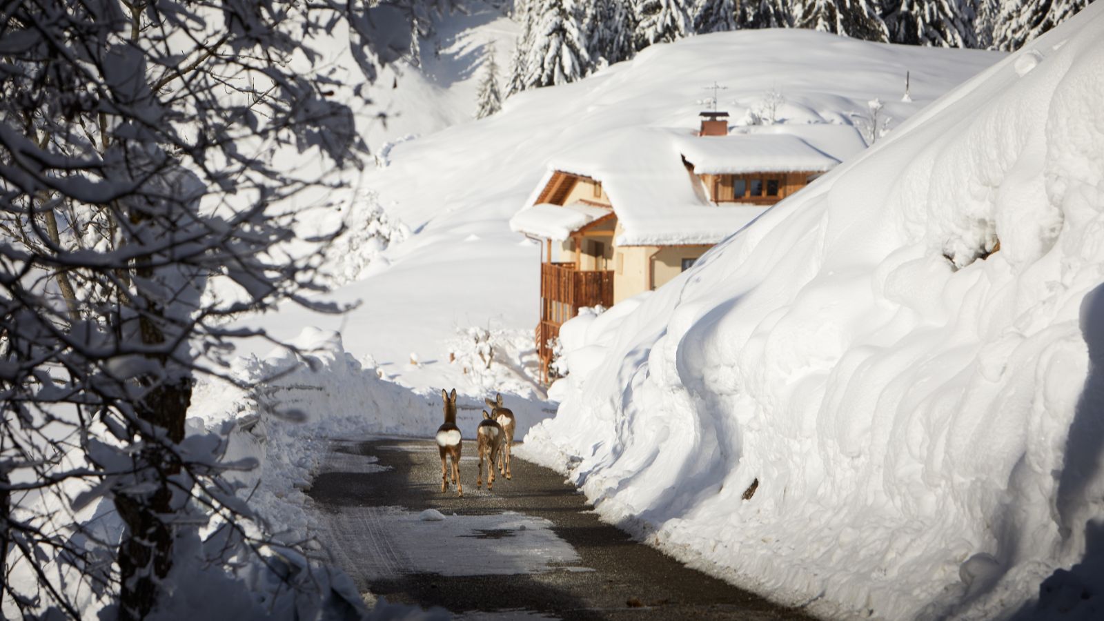 Luxury-Ski-Chalet-Alta-Badia-Chalet-Sotciastel-Oxford-Ski-Exterior.jpg