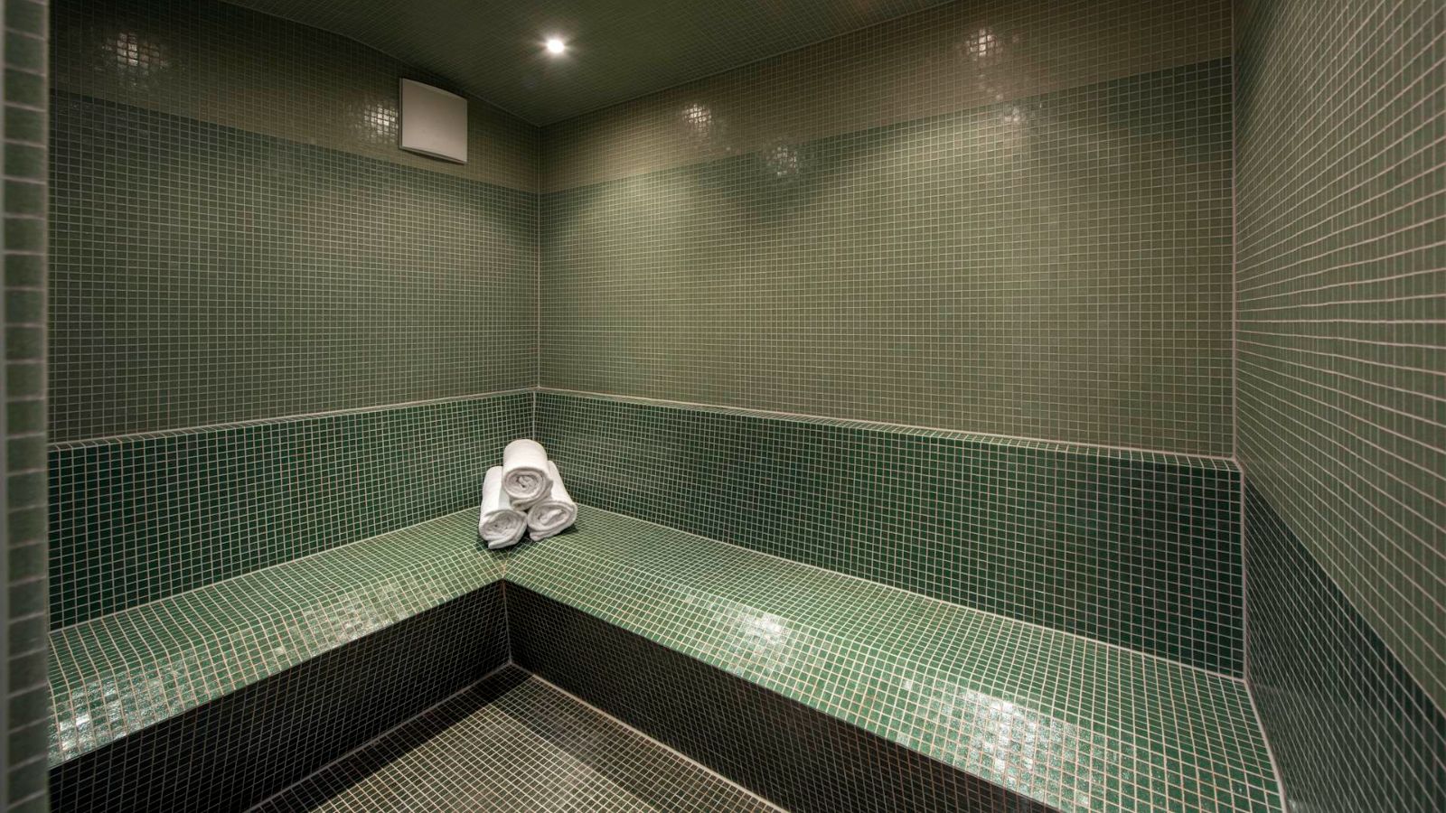 steam-room-in-chalet-milou (1).jpg