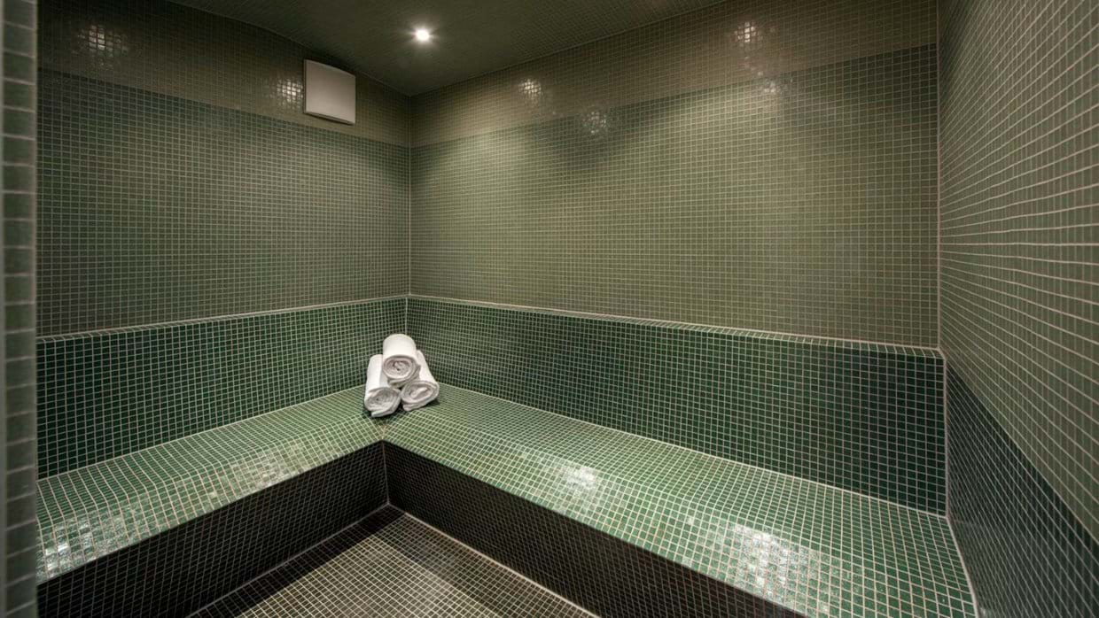 steam-room-in-chalet-milou (1).jpg