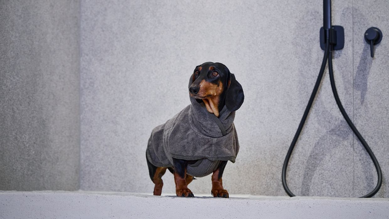 Luxury-Ski-Chalet-Arosa-BelArosa-OSC-Dog friendly (2).jpg