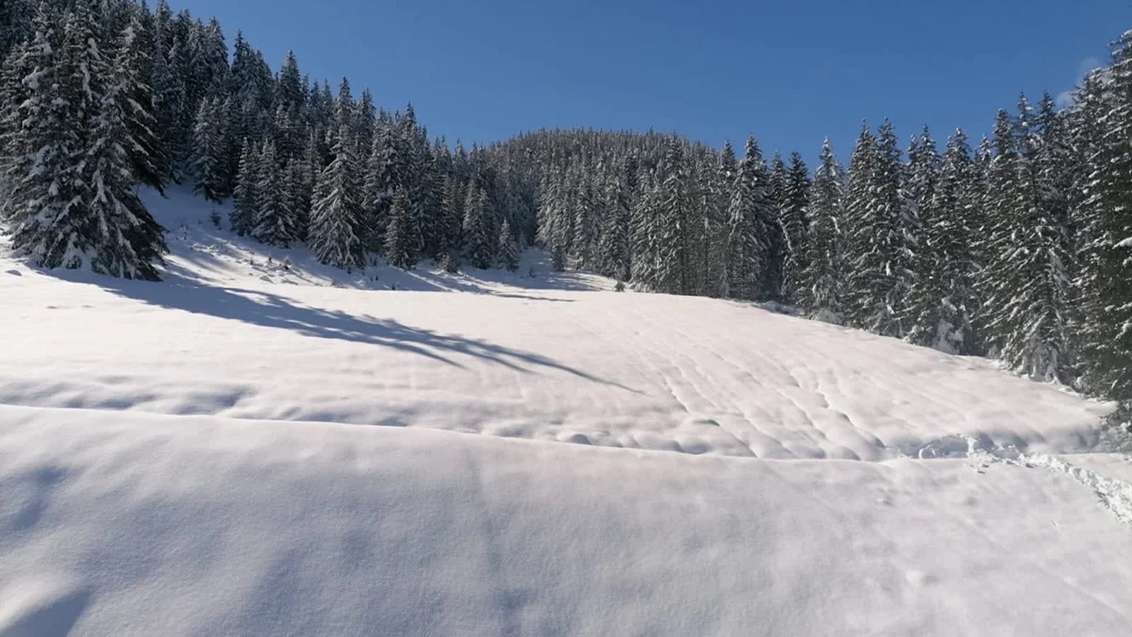 Luxury-Ski-Chalet-Courchevel-1650-Exterior-Oxford-Ski12.jpeg